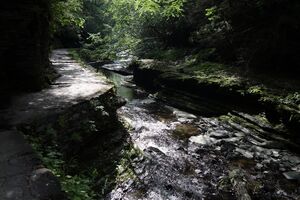 Glen Creek pic008.jpg