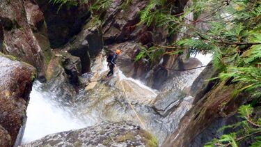 Gonzales Creek Banner.jpg