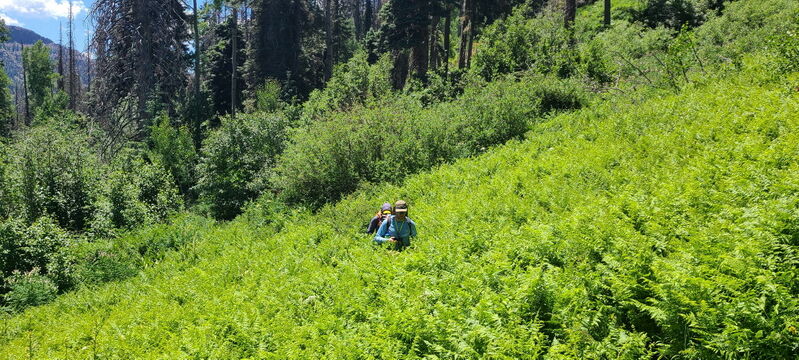 File:Hondo Creek pic04.jpg