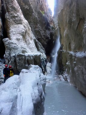 Monstercanyon (Lower) Banner.jpg