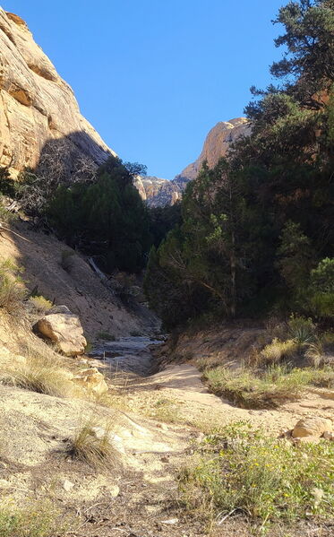 File:Outlaw Canyon pic011.jpg