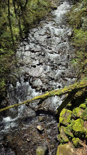 File:20260403 115719.jpg