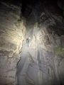 Thumbnail for version as of 05:01, 25 November 2022