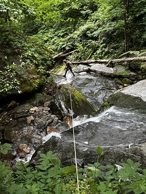 Mudcut Branch Canyon Banner.jpg