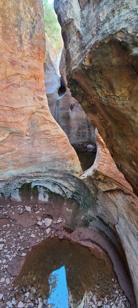 File:Pool Creek (Dinosaur) pic07.jpg