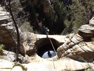 The Perch (West Fork Oak Creek) Banner.jpg