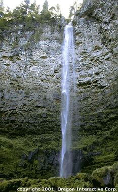Watson Creek Banner.jpg