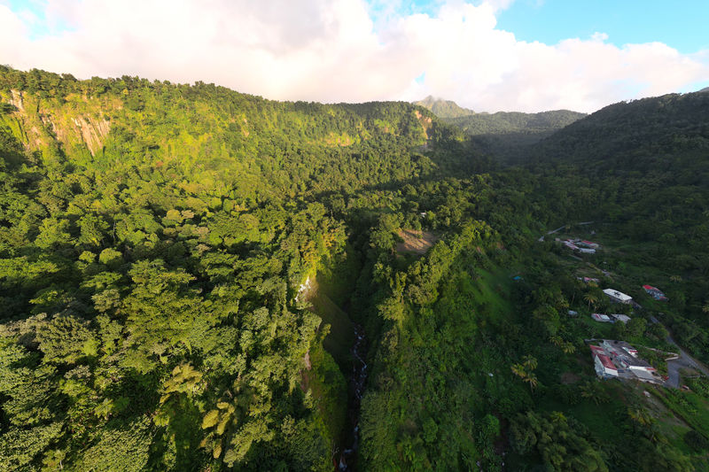 File:Blanc drone.jpg