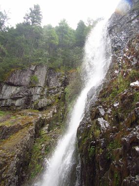 Elkhorn Mountain Creek Banner.jpg