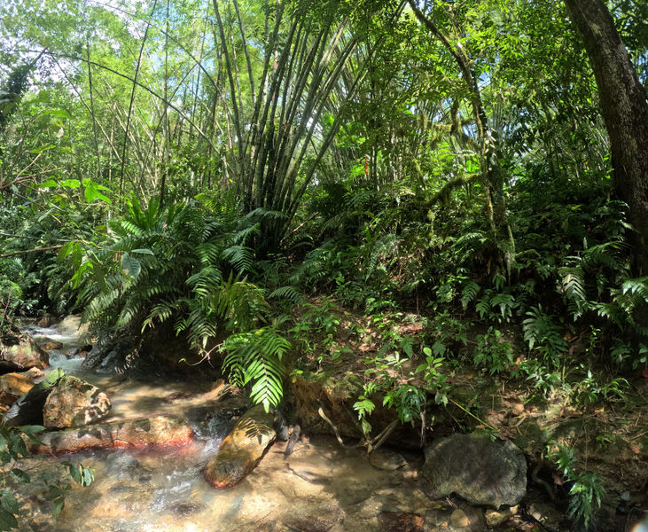 File:Guanapo Gorge Canyon flagging.jpg