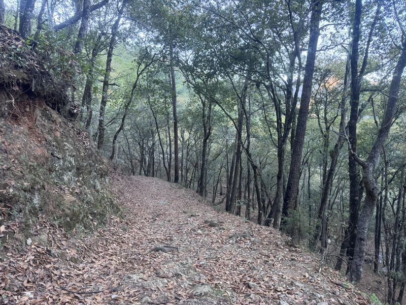 File:Matacanes easyapproach.jpg