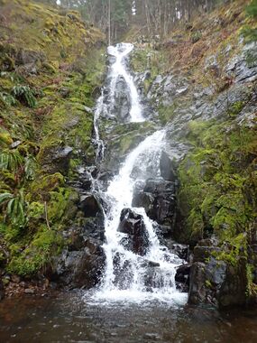 Rogers Creek NW Banner.jpg