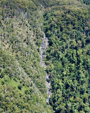 Bulga Falls Banner.jpg