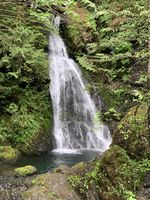 Clark Creek-20210706023256 pic.jpg