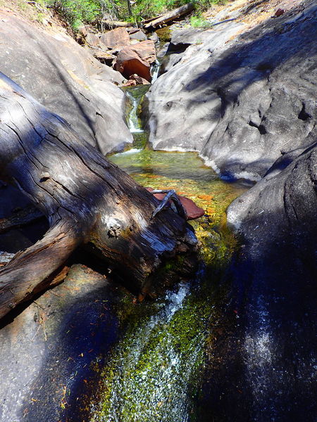 File:Hayes Creek Hayes05.jpg