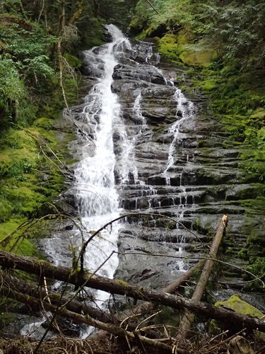 Hopkins Creek-20180619070325 pic.jpg