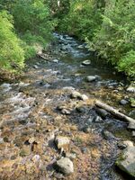 Woodward Creek-20230522002654 pic.jpg