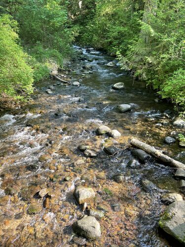 Woodward Creek-20230522002654 pic.jpg