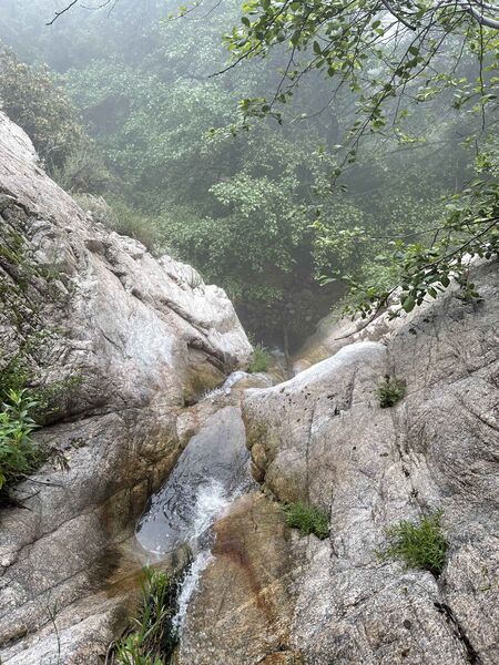 File:FILE-20230622182241.jpg
