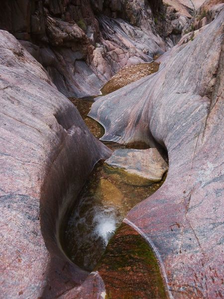 File:Monument Creek Banner.jpg