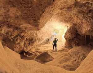 20260322 194118 577.JPEG