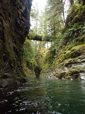 Big Creek (Olympic Peninsula) Banner.jpg