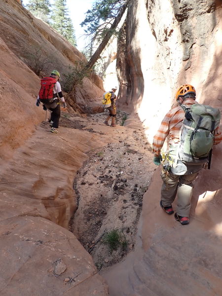 File:Cougar Canyon (New Mexico) pic14.jpg