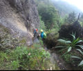 Thumbnail for version as of 16:51, 6 April 2021