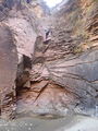 Thumbnail for version as of 11:40, 18 October 2022