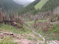 Thumbnail for version as of 13:35, 9 February 2023