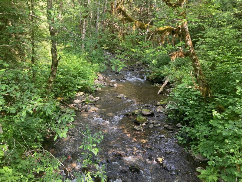 File:Cabin Creek (Olympics)-20260607024911 pic.jpg