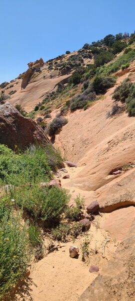 File:Chicken Slot pic04.jpg