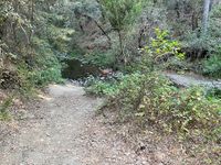 Knickerbocker Creek-20210806071247 pic.jpg