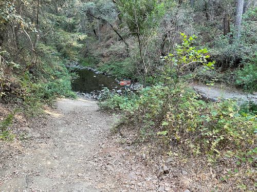 Knickerbocker Creek-20210806071247 pic.jpg