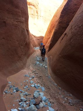 Maidenwater Canyon (Lower) Banner.jpg