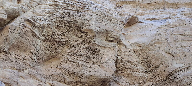 File:Pool Creek (Dinosaur) pic09.jpg