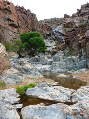 Bumble Bee Canyon (Antelope Falls) Banner.jpg