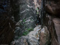 Thumbnail for version as of 04:31, 15 September 2014