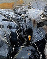 Thumbnail for version as of 12:55, 15 November 2022