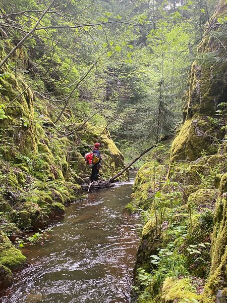 File:Quartz Creek (South Cascades) creek.jpg
