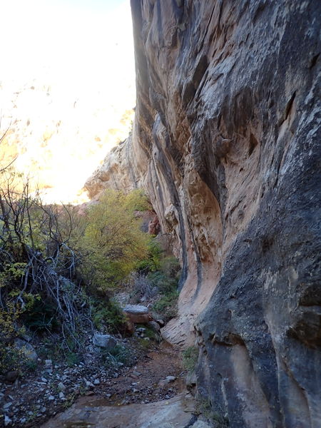 File:West Serviceberry Draw pic5.jpg