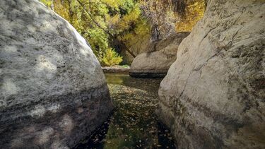 La Barge Canyon (Lower) Banner.jpg