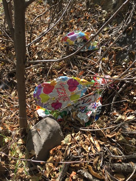 File:Laurel Springs Canyon img8021.jpg