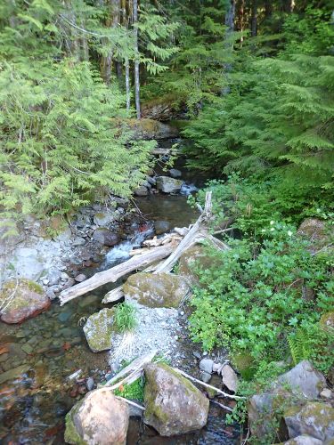 Snag Creek-20210518161317 pic.jpg