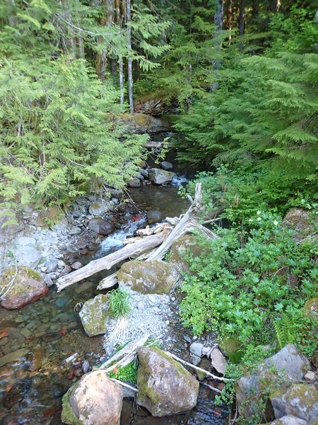 File:Snag Creek-20210518161317 pic.jpg