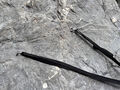 Thumbnail for version as of 13:23, 23 September 2023