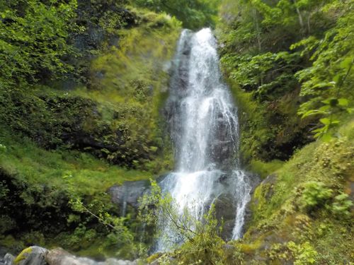 Stafford Creek-20170611032326 pic.jpg