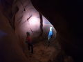 Thumbnail for version as of 16:26, 28 May 2020