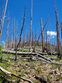 Thumbnail for version as of 16:44, 18 July 2023