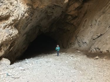 Whipple Cave Banner.jpg